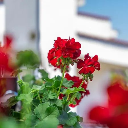 αρμονία - ιδανικό σπίτι για διακοπές στην *